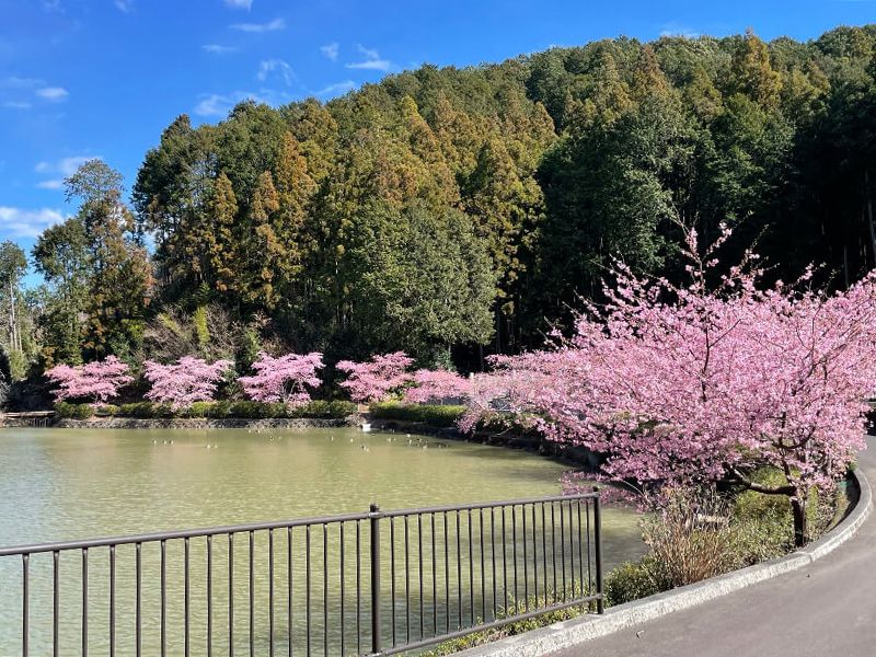 藤枝霊園