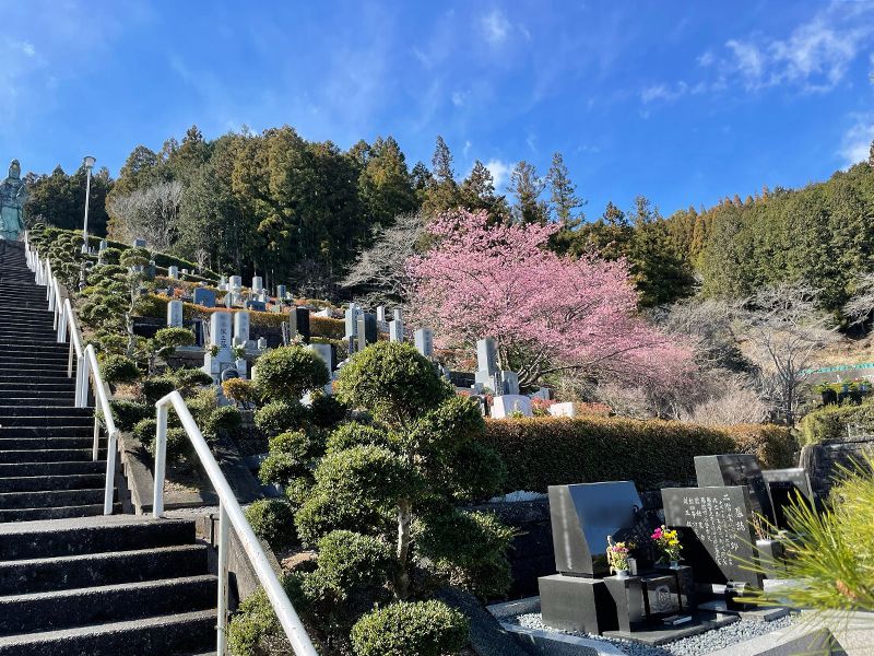 藤枝霊園