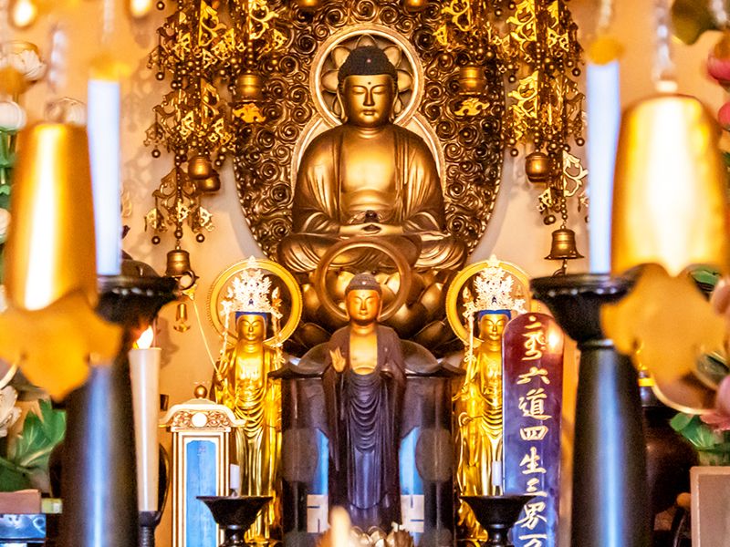 宝持院墓苑 永代供養墓・樹木葬