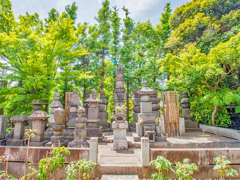木立の中の墓石群