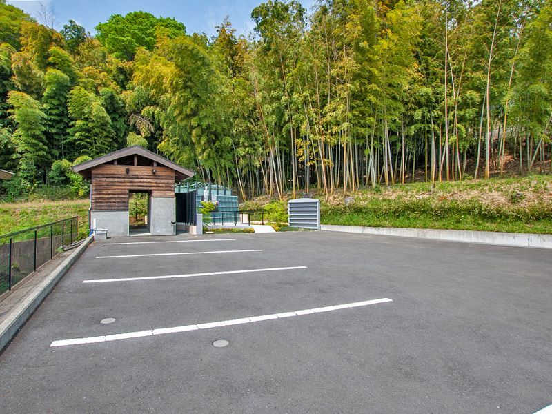 駐車場と周囲の林