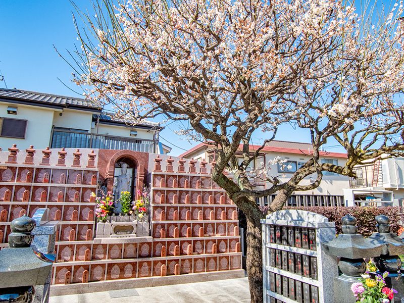 桜と屋外納骨壇