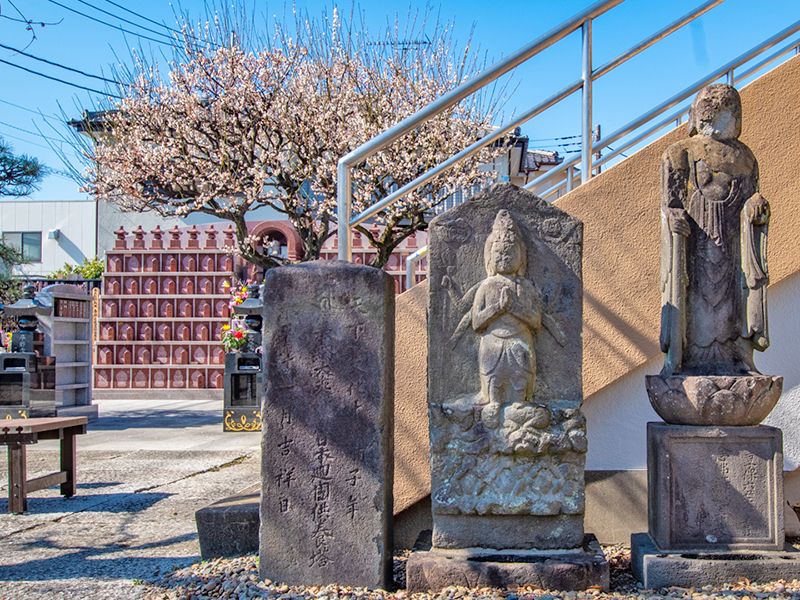 大信寺墓苑 永代供養墓・樹木葬