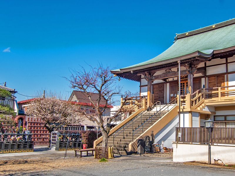 本堂と墓所の境内