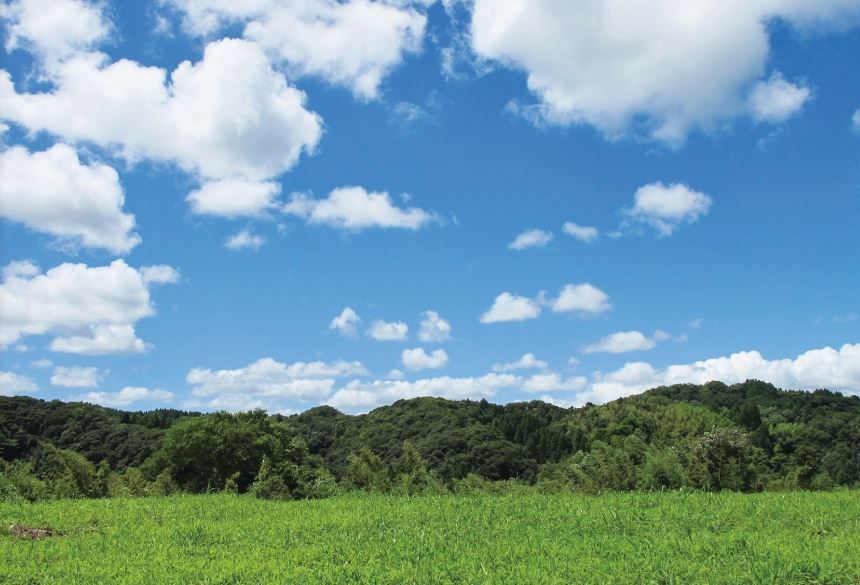 森の墓苑　美しい自然