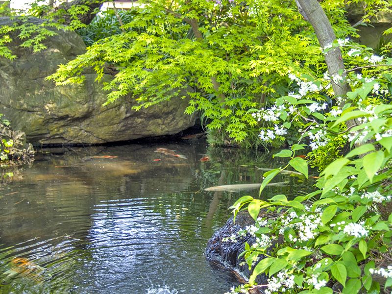 高應寺墓苑 永代供養墓・樹木葬