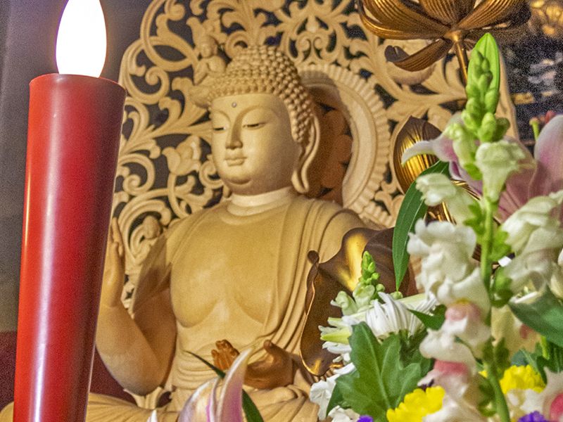 高應寺墓苑 永代供養墓・樹木葬