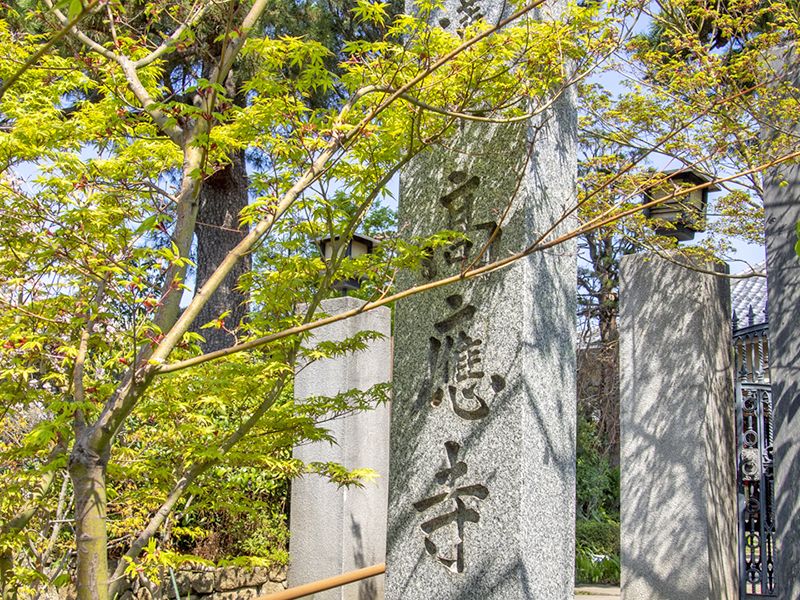 高應寺墓苑 永代供養墓・樹木葬