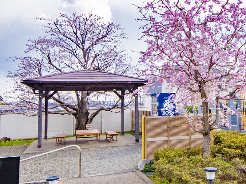 常久寺墓苑 永代供養墓 ・樹木葬