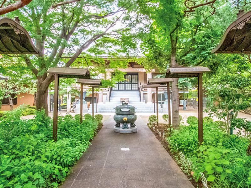 緑に囲まれた参道