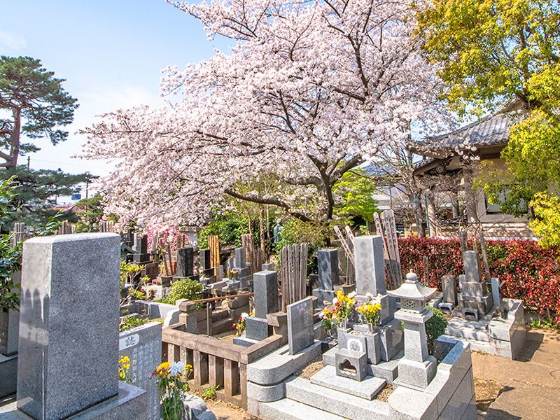 一乗院 永代供養墓・樹木葬