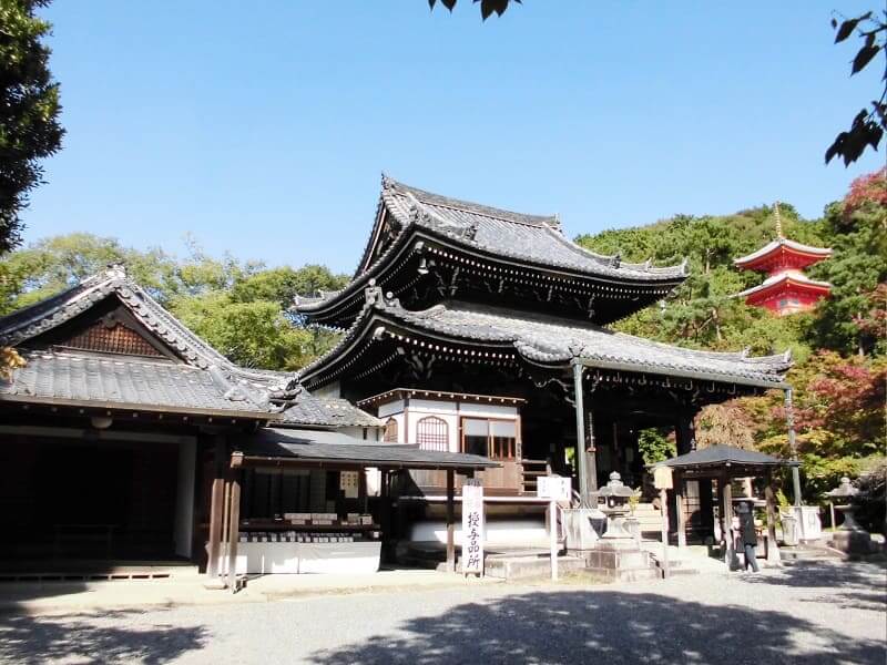 今熊野観音寺桜楓苑お寺雰囲気