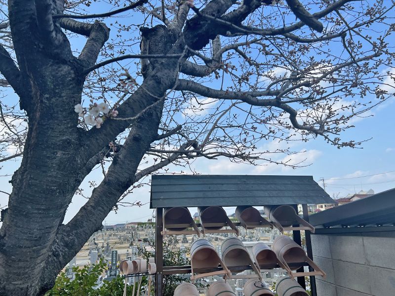 覚王山 北山霊園