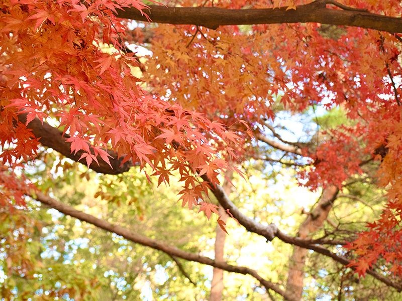 榮春寺（栄春寺）