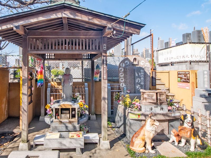 本光寺 市川聖地苑 永代供養墓・樹木葬