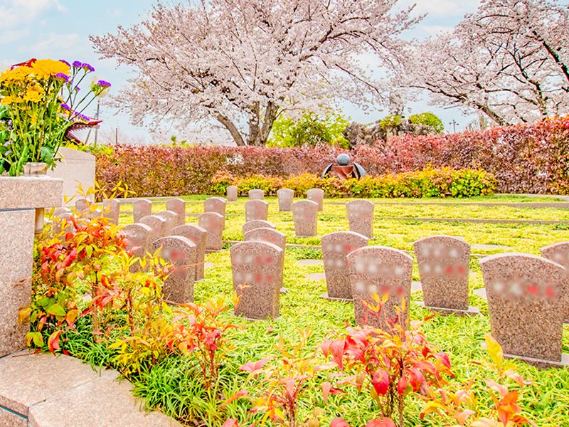 メモリアルすぎと 用中寺 永代供養墓・樹木葬