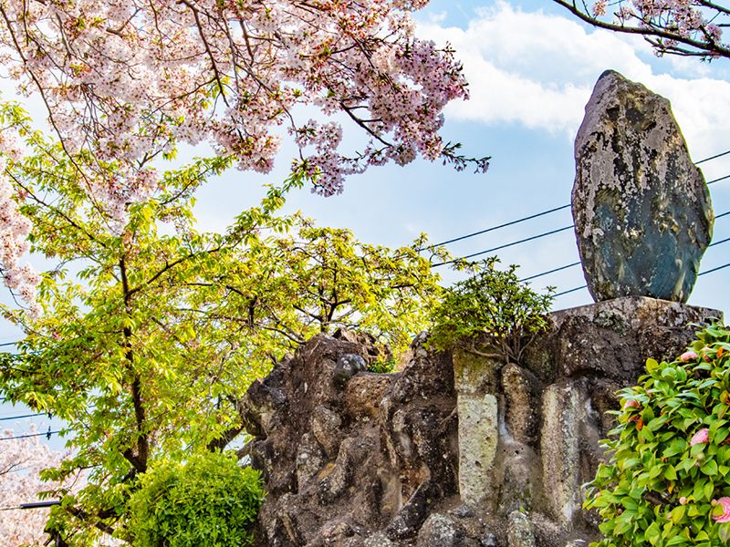 メモリアルすぎと 用中寺 永代供養墓・樹木葬