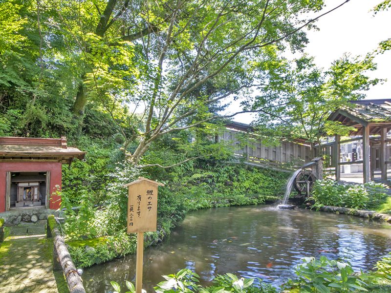 興福寺墓苑 永代供養墓・樹木葬