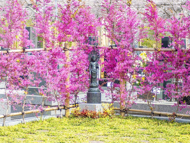 玉泉寺 永代供養墓・樹木葬