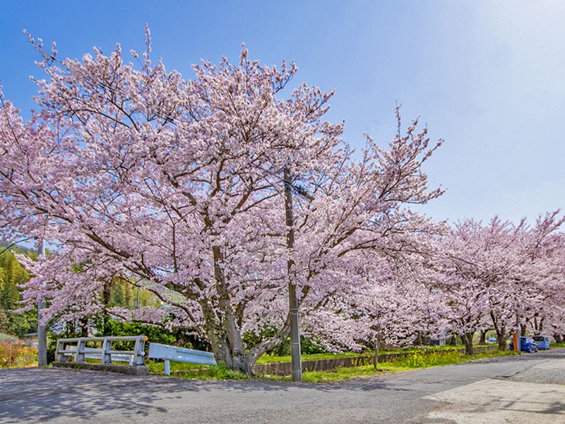 玉泉寺 永代供養墓・樹木葬