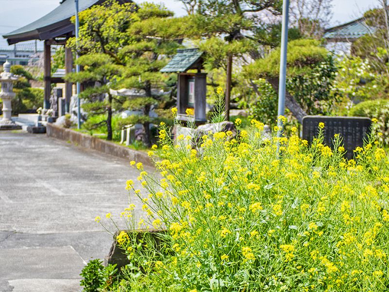 玉泉寺 永代供養墓・樹木葬