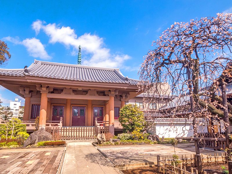 真言宗豊山派 金剛院 永代供養墓