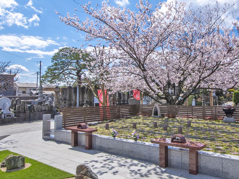 深廣寺 永代供養墓・樹木葬