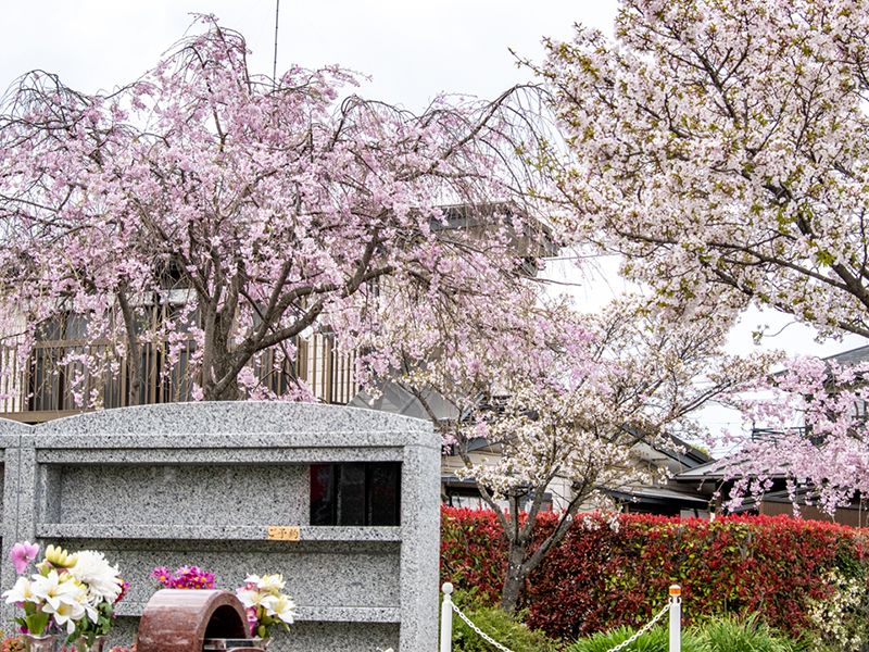 深廣寺 永代供養墓・樹木葬