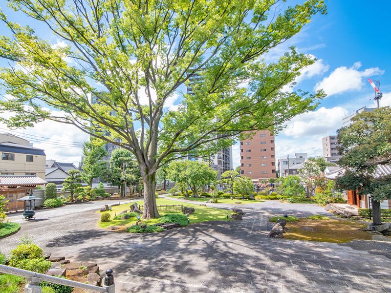 赤羽浄苑 正光寺 永代供養墓・樹木葬