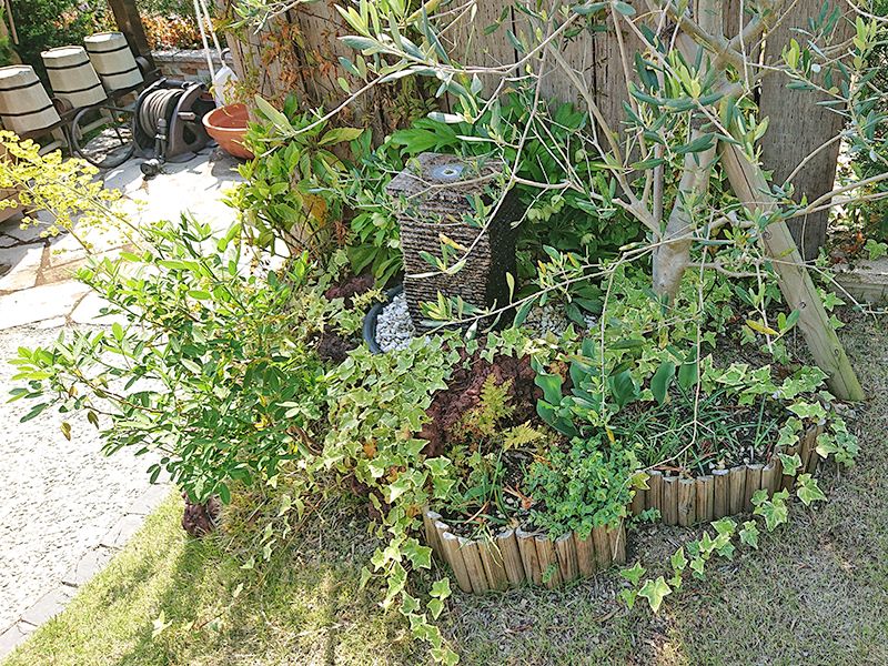 泰平寺霊園 樹木葬 HEALING GARDEN