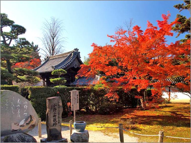 隨心院