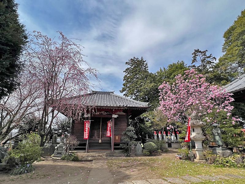 龍昌院 のうこつぼ