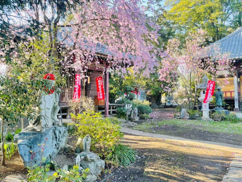 龍昌院 のうこつぼ