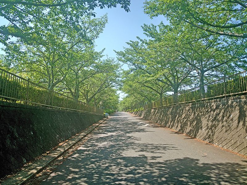 大阪柏原聖地霊園