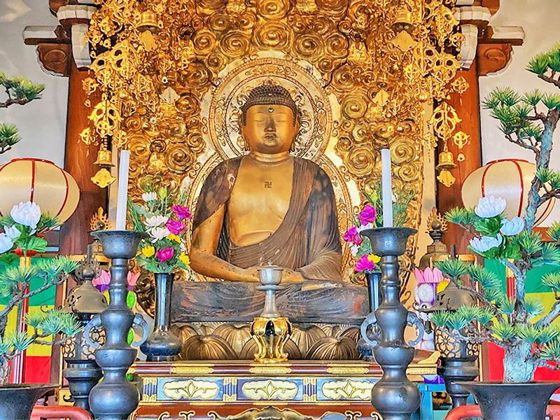 滋賀守山樹木葬墓地