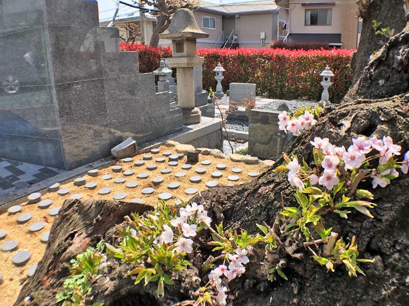 郡家東墓地
