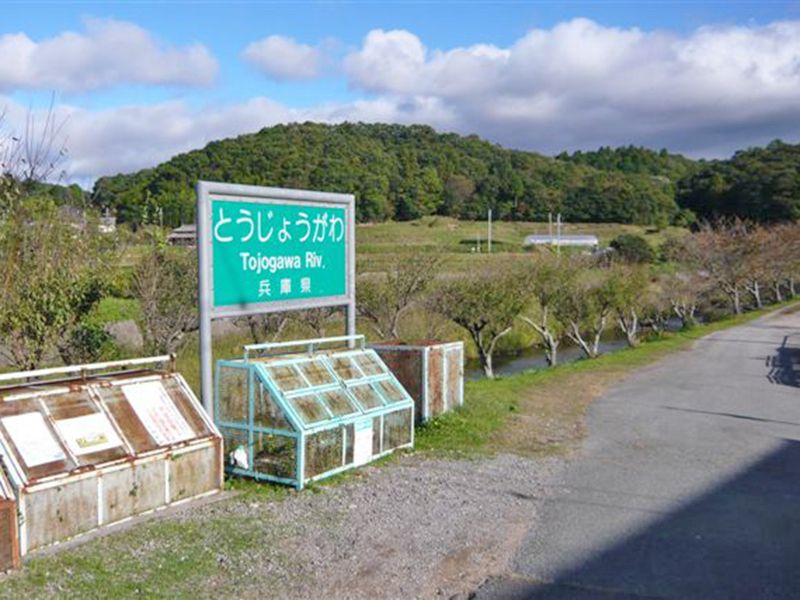 中野霊園