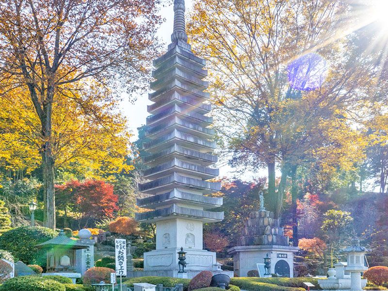 天祐山 仁叟寺 永代供養墓・樹木葬