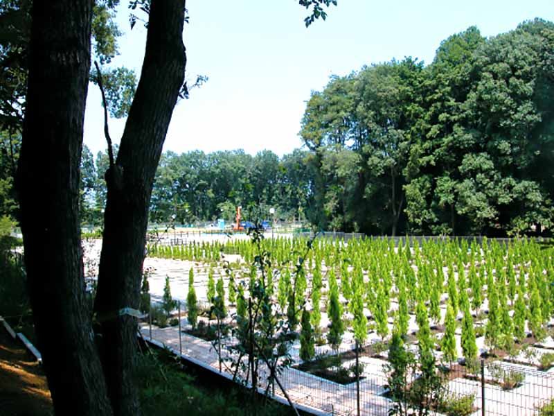 フォレスト所沢　すべての区画で生前建墓が可能