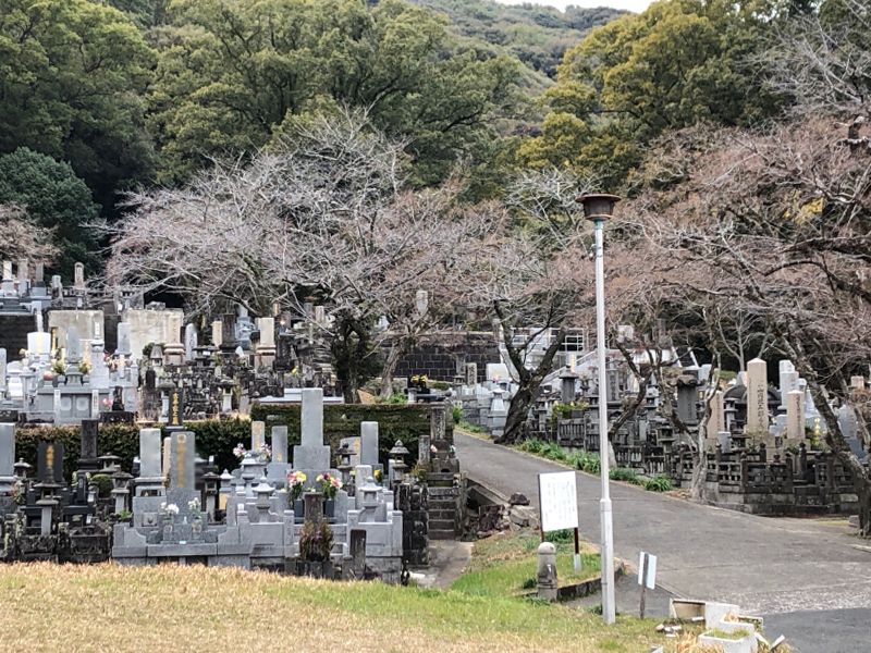 熊本市営 花園墓地