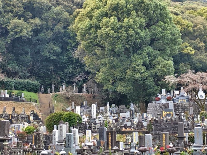 熊本市営 花園墓地