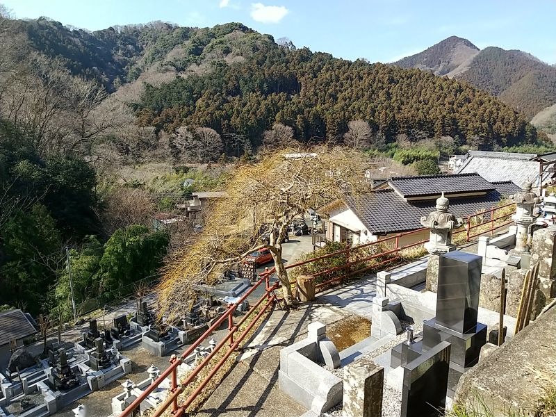 蓮久寺