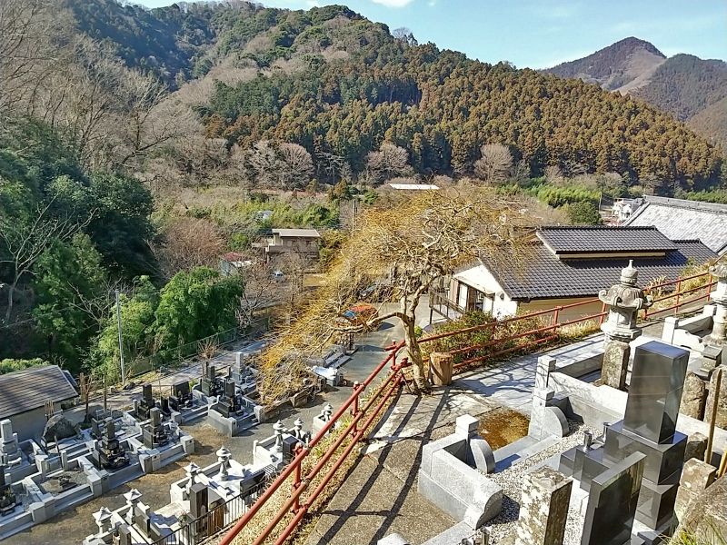 蓮久寺