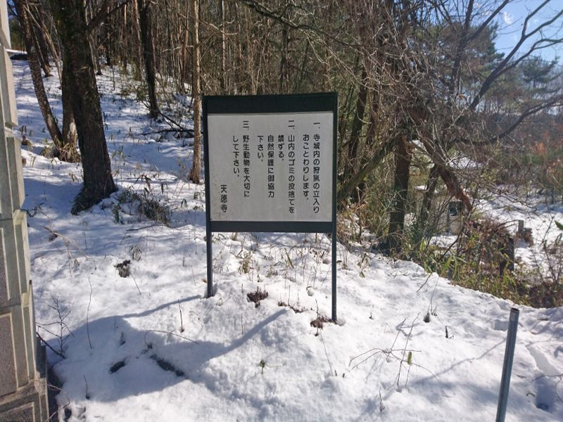 花見山 奥の院 樹木葬の杜