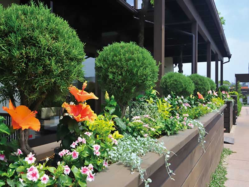 鴻巣霊園　園内に彩を添えている花たち