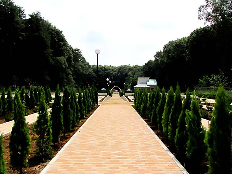 フォレスト所沢　広々とした参道