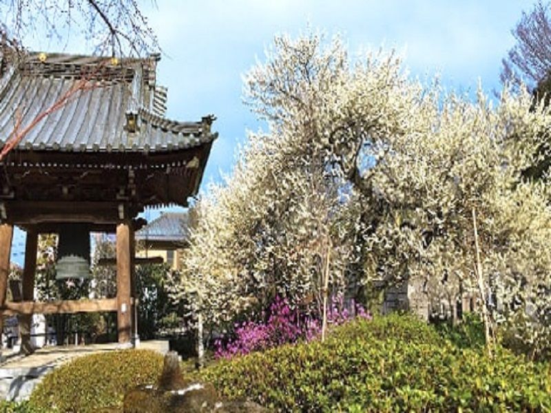 臥龍山 雲松院