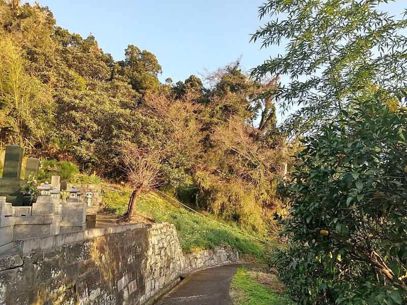 最誓寺合葬墓