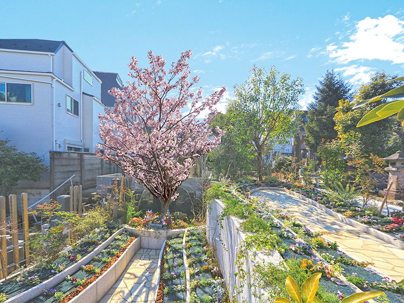 宗参寺 樹木葬 結いの桜・優美の舞