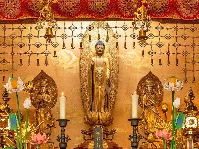 浄土院 神奈川県藤沢市菖蒲沢の永代供養墓・樹木葬